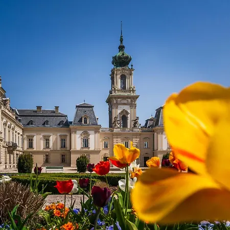 Apartament With Piano Keszthely